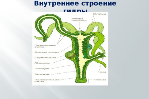 Сайт кракен не работает почему