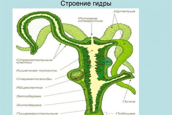 Кракен даркнет текст